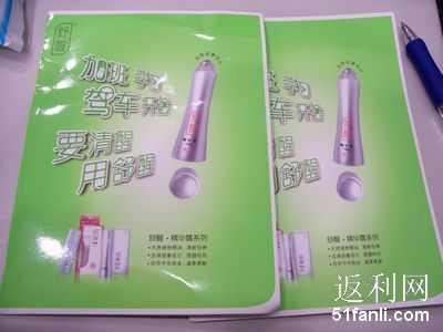 收入证明_颇丰的收入(2)